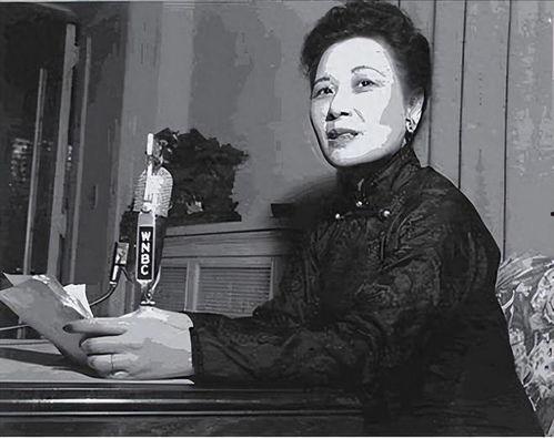 宋美龄最新爆料视频播放,最新爆料视频背后的故事与真相  第3张